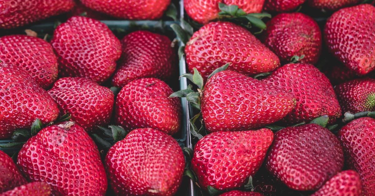 Freelance Finance: Budgeting When Your Income Is Irregular