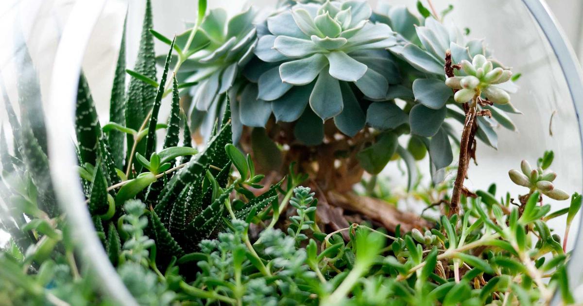 How to Track Your Net Worth and Why It Matters