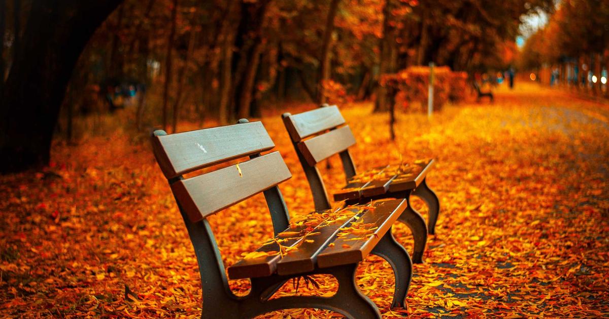 Energy Bills in the UK: How to Cut Costs Without Freezing