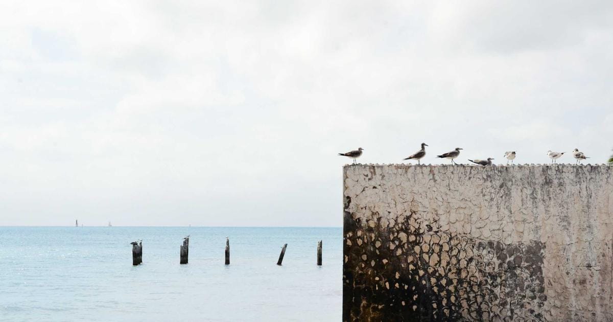 Understanding Your Credit Score in the UK (Experian, Equifax, TransUnion)