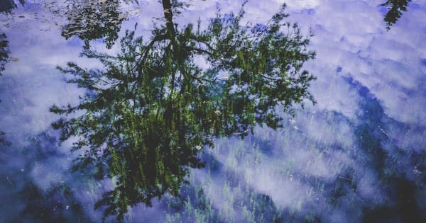 Understanding the UK Benefits Trap and How to Navigate It