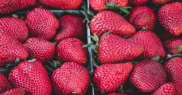 Freelance Finance: Budgeting When Your Income Is Irregular