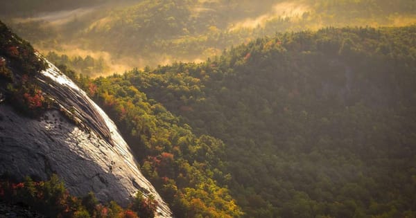 What Is a Stocks and Shares ISA and Should You Open One?